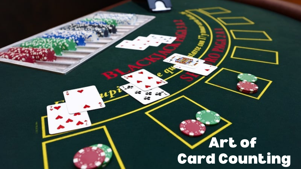 From Rookie to Pro: Mastering the Art of Card Counting