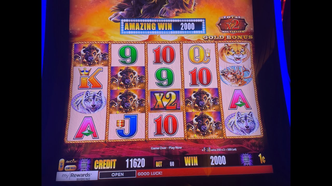 Buffalo Gold Slot Machine: The Ultimate Player’s Guide for 2024